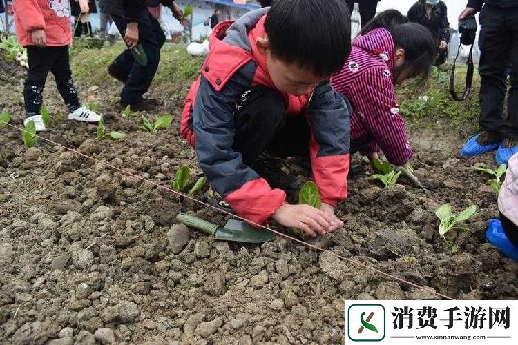 耕种妈妈肥沃土地：别样的亲子体验