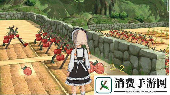 小森生活B站直播大事件预告——策划请就位