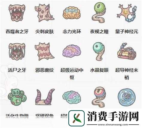 最强蜗牛器官进化攻略及材料汇总