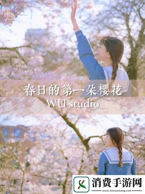 请用你的手打扰我樱花：为何如此说