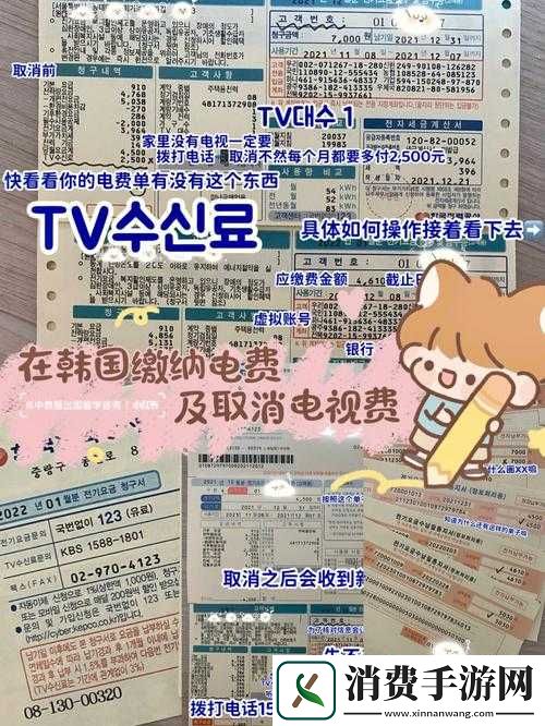 韩国三色电费：电费背后的文化与社会现象