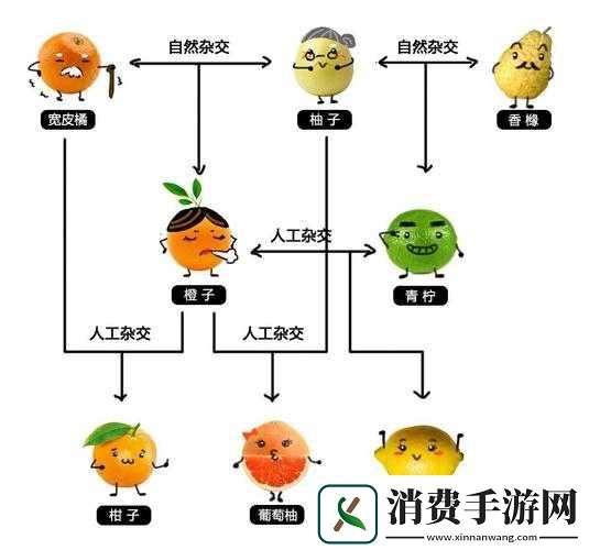 一家四口混乱的关系：剪不断理还乱的情感纠葛 