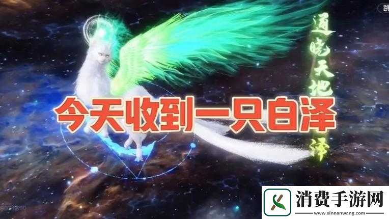 妄想山海白泽进化及进化丹详解