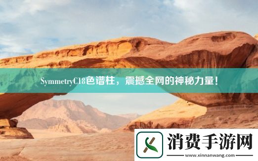 SymmetryC18色谱柱-震撼全的神秘力量！
