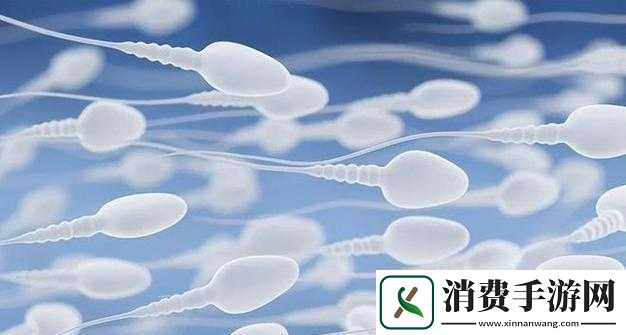 系统需收集**升级