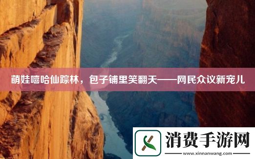 萌娃嘻哈仙踪林