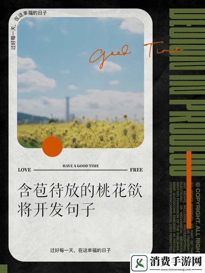 破壳而出-桃花编程语