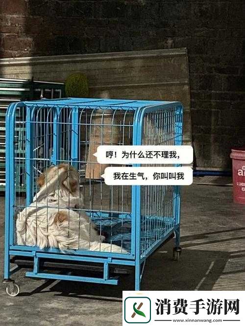 老牛嫩草一二三产品区别之详细解析