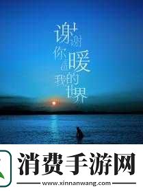 输入WWW你会感谢我的：这背后的秘密 