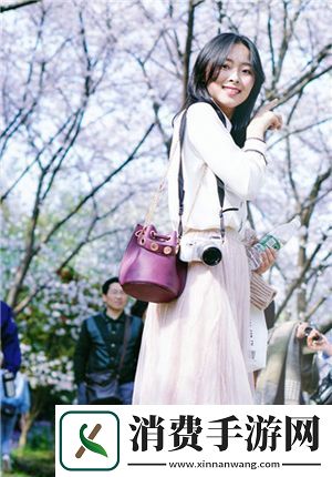 无需下载国外黄冈网站推广