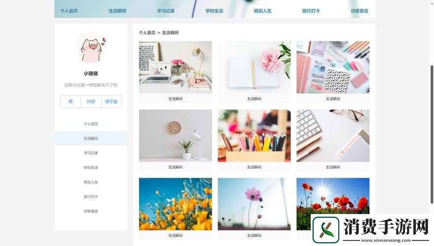 Web-成品网站：打造专属你的精彩平台
