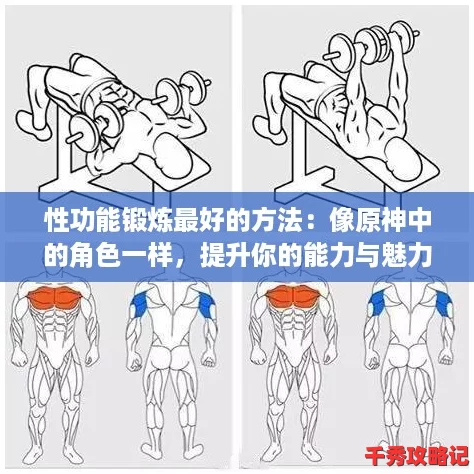 性功能锻炼最好的方法