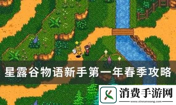 星露谷物语新手春一年该做啥攻略
