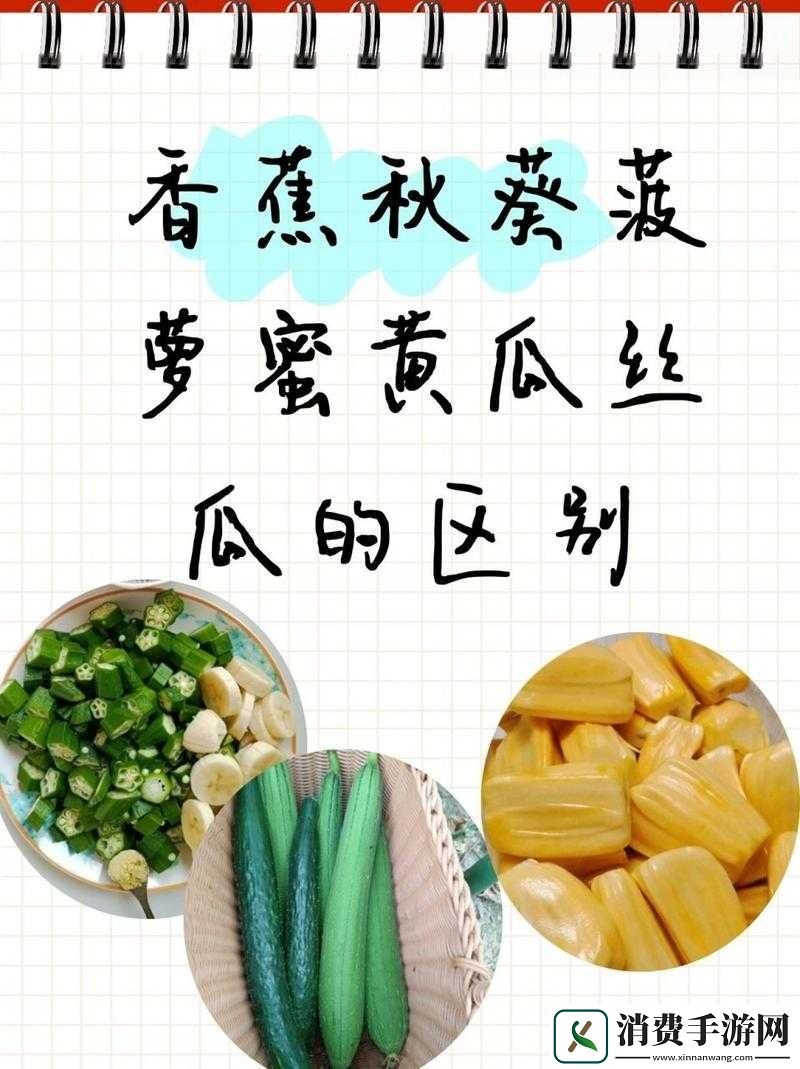 香蕉菠萝水蜜桃黄瓜丝瓜秋葵：新鲜果蔬大集合