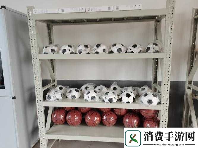 下课后的体育器材室叫什么