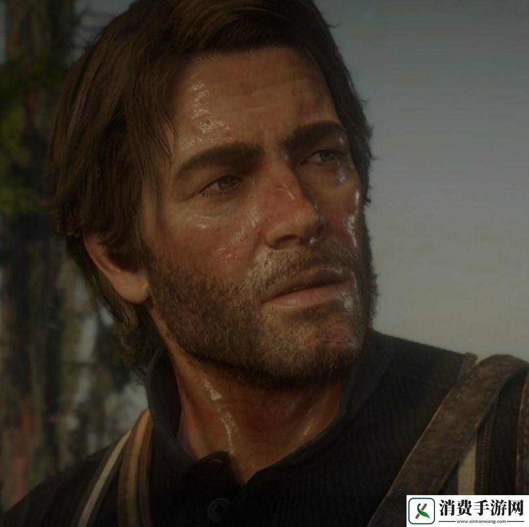 70岁老**玩荒野大镖客二