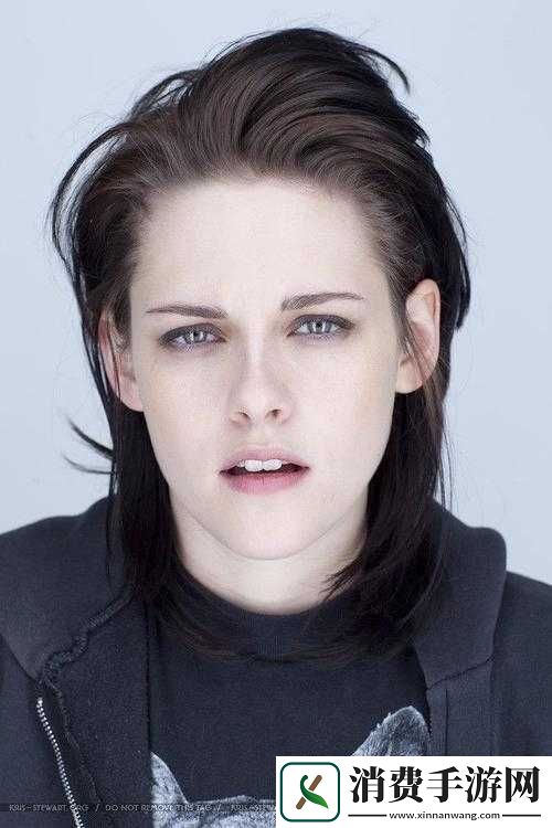 幻想战记骑士克里斯丁角色介绍