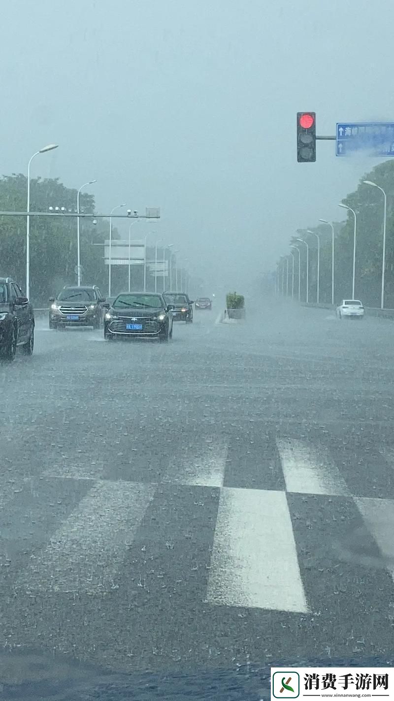 “边走边唱-暴雨中闹哪样-科技界的‘湿身’奇观” 