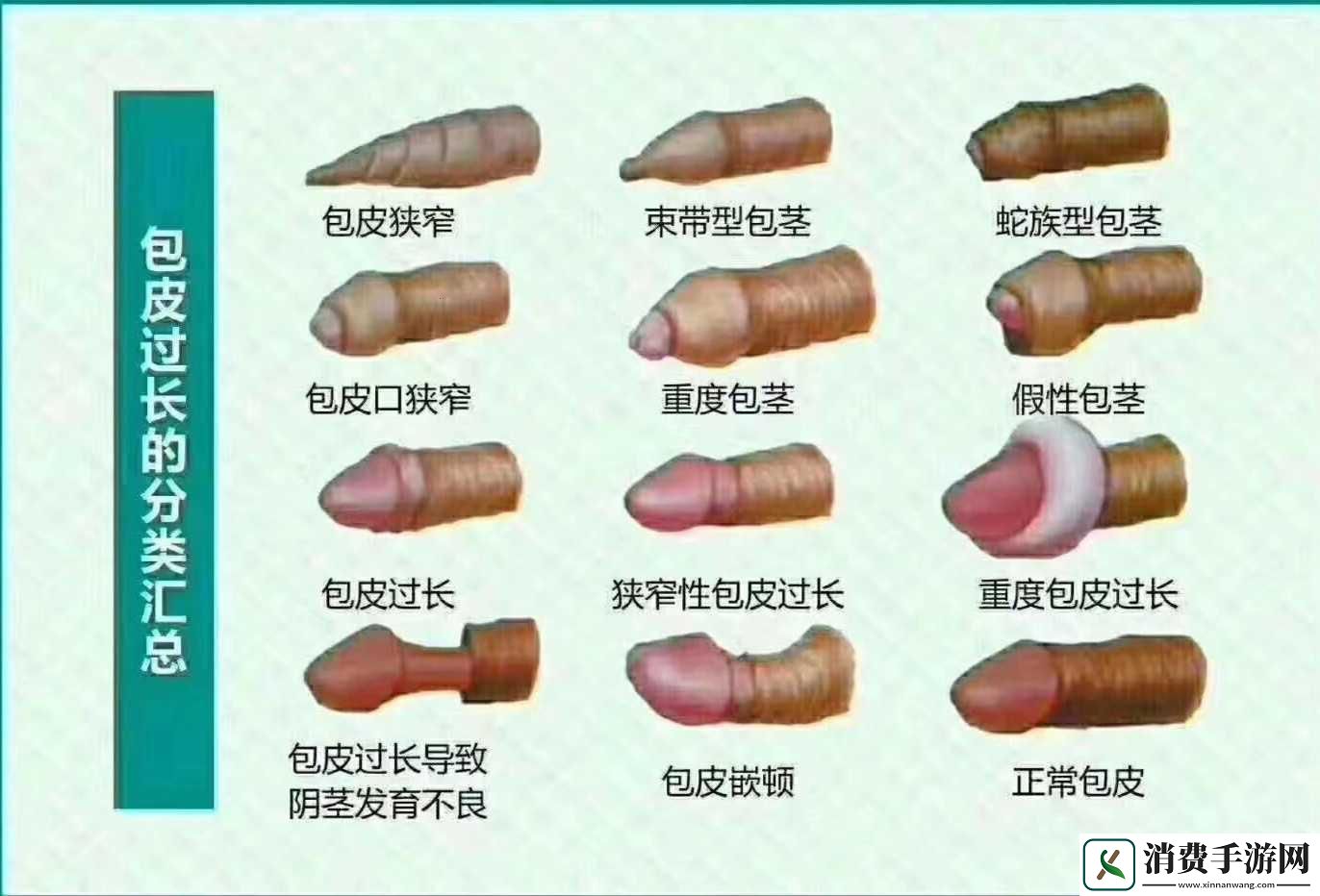 25岁后的‘小鸟放飞’-科技界的奇谈怪论！