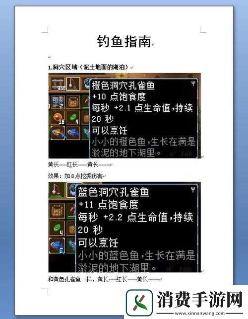 地心护核者高效钓鱼技巧地心护核者独特钓鱼之法地心护核者的钓鱼窍门