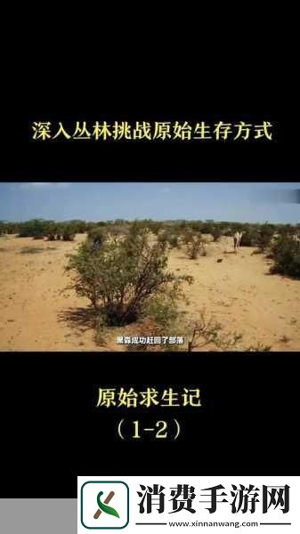 把头埋在茂密的丛林中：深入丛林的冒险探秘