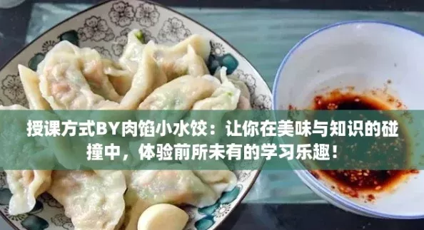 授课方式BY肉馅小水饺