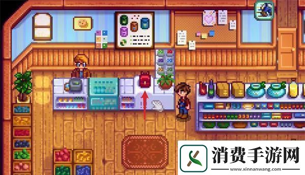 星露谷物语背包扩大方法有哪些