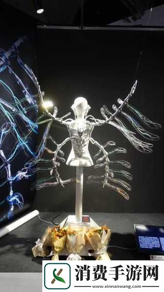 人文艺术的魅力