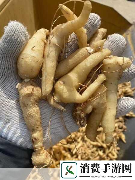 99精产三产区的区别什么是99精产