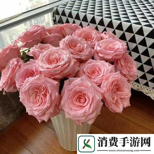 战国时代秘籍精华解析