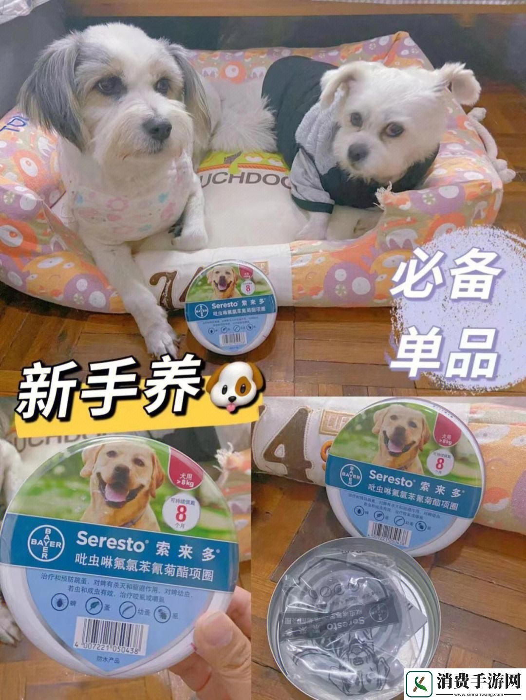 “人狗胶配方”狂潮来袭