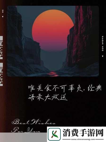 从厨房到阳台的浪漫之旅1.