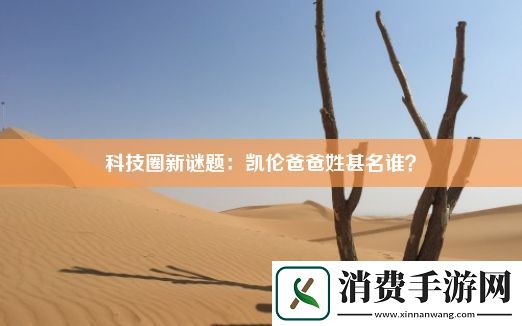 科技圈新谜题
