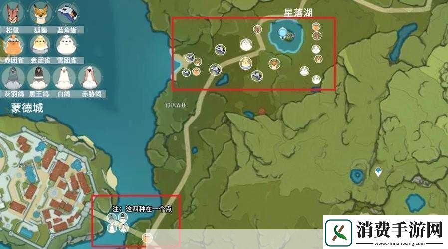 原神四方八方之网白鸽捕捉位置在哪
