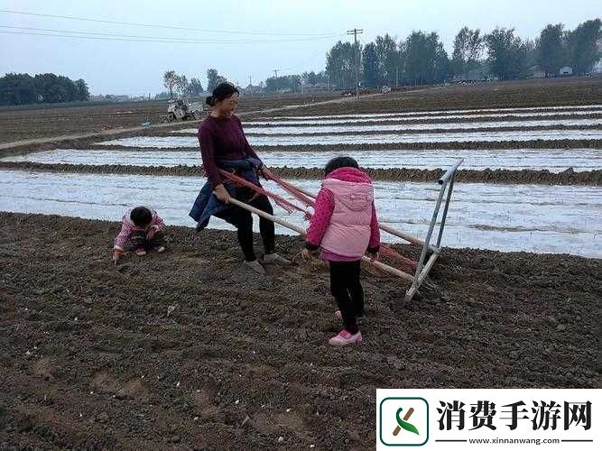 儿子耕种母亲的田地