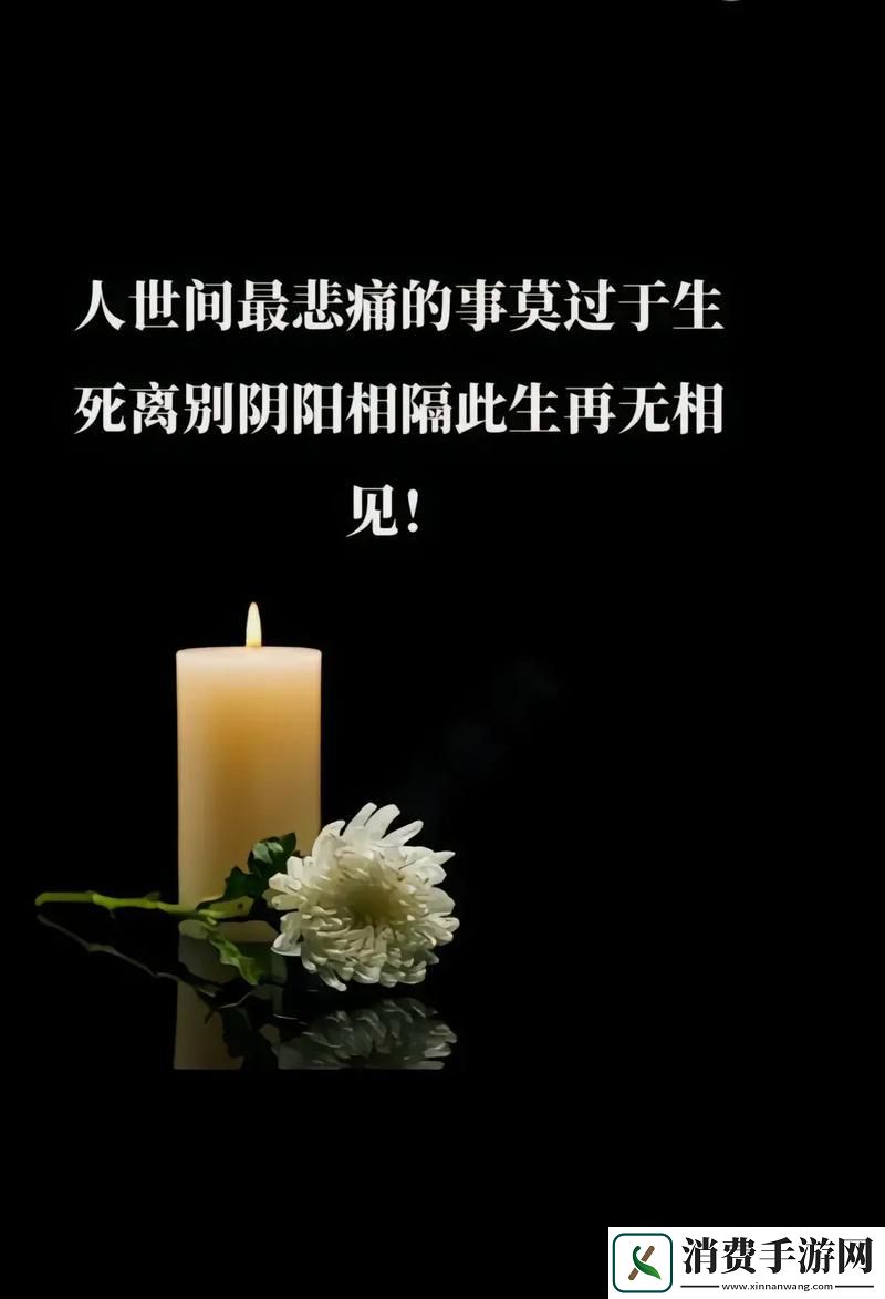 “姨母家遗憾之旅