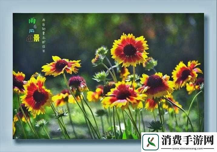 亭亭玉立国色天香四月天科普