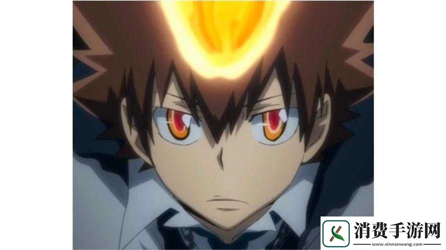 家庭教师沢田纲吉礼物喜好与推荐送礼选择