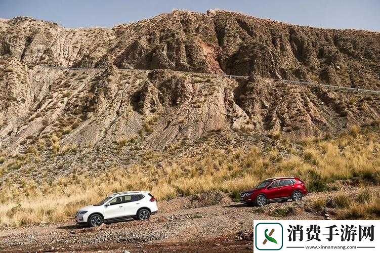 欧美无人区码SUV