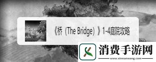 桥视频攻略