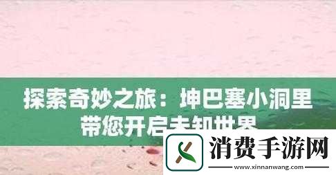 奥の秘部在线播放