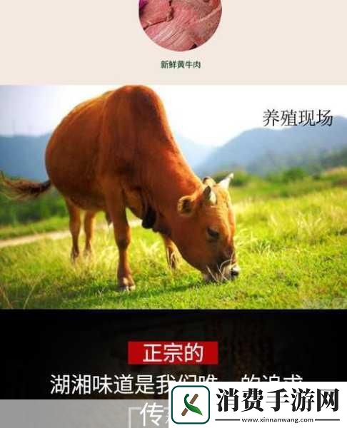 如何进入梦里超级肉禽系统了解梦想中的世界观 无论是幻想还是冒险