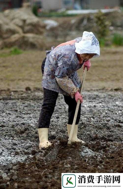 在妈妈肥沃的土地上辛勤耕耘