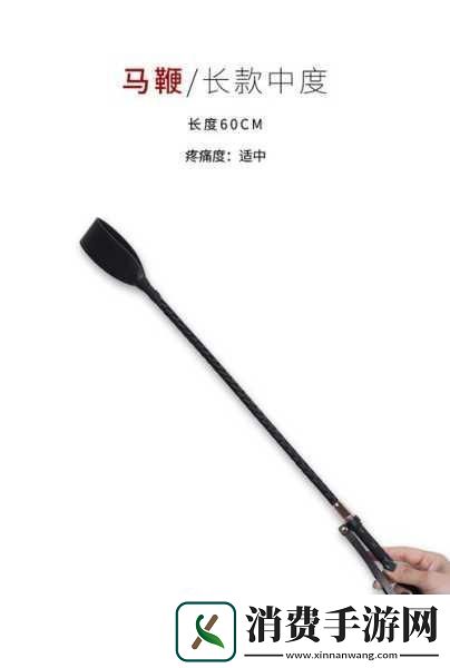 如何选择惩罚工具