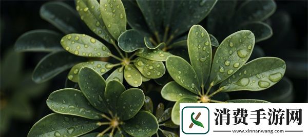 人狗胶配方大全