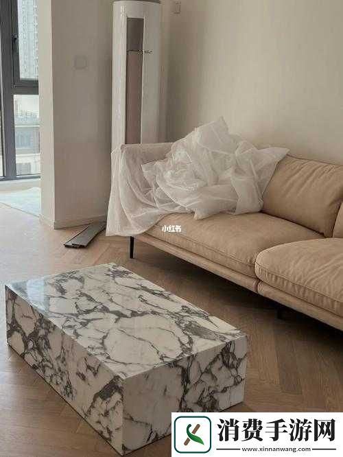 九个装修工人把我放在茶几上