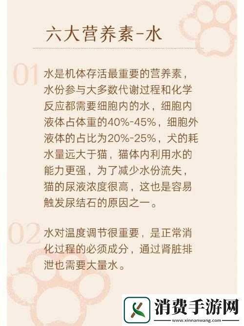 水多重要还是紧致重要