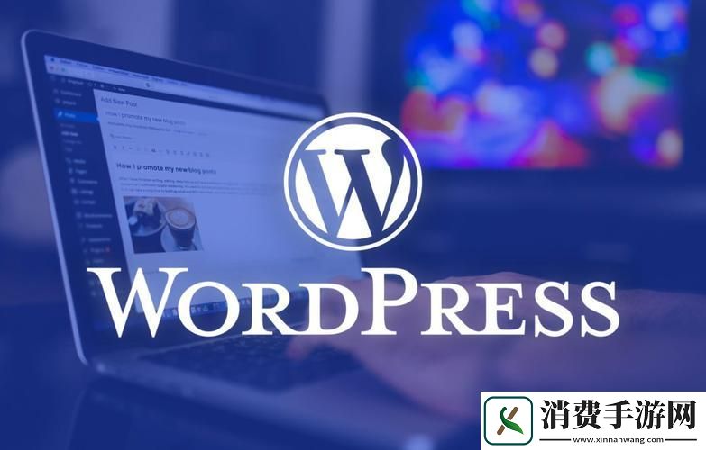 “Wordpress成品站的秘密藏身之处