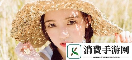 中国高清WINDOWS视频播放