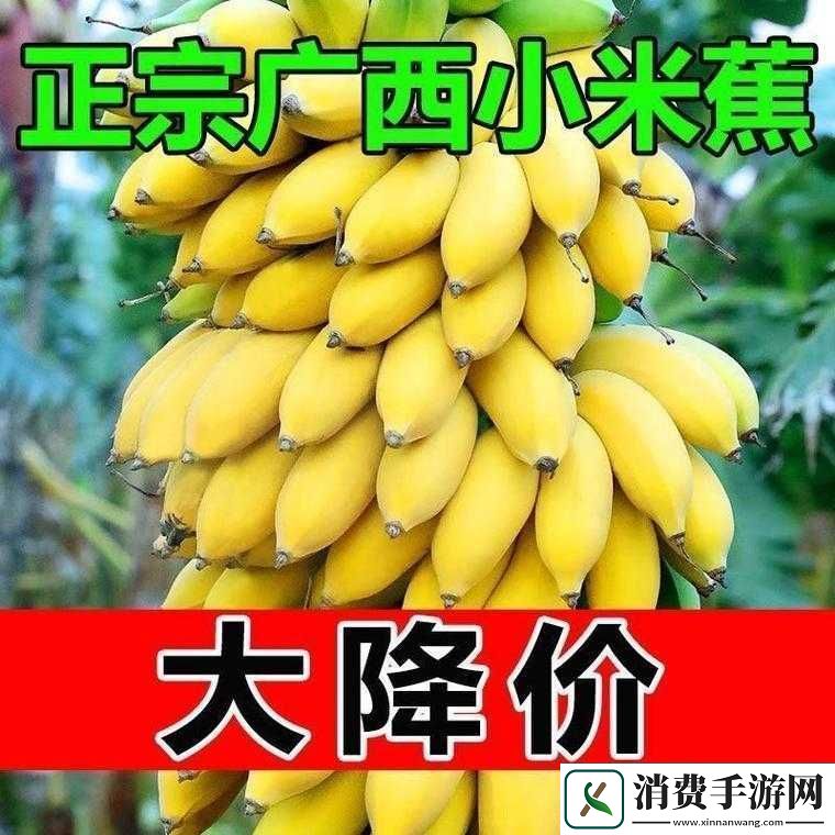 国产香蕉和进口香蕉价格比较